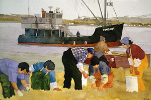 villagers harvesting herring roe on kelp with cash buyer in background.