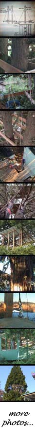 treehouse photos